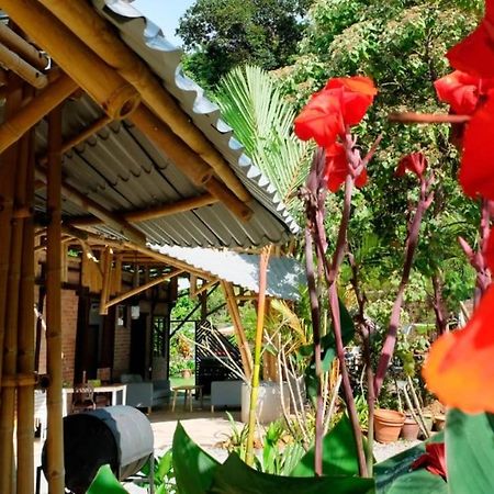 Bamboo Cottage Langkawi Пантай Ченанг Екстериор снимка